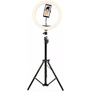 DENVER ARO DE LUZ CON TRIPODE 800L (RLT-1201)